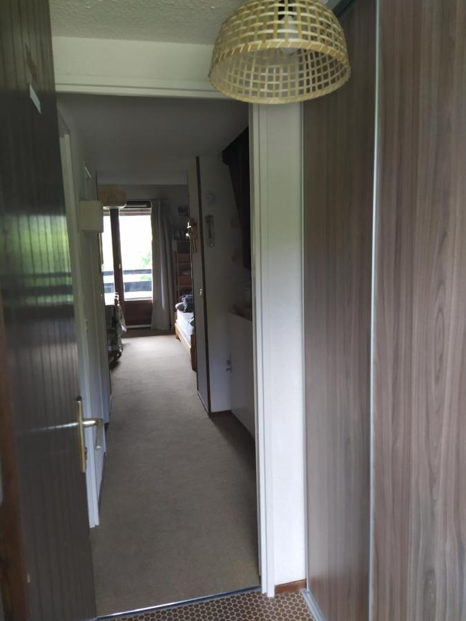 Duplex 3 Pieces. Pieds Des Pistes Et Balcon! Διαμέρισμα Gresse-en-Vercors Εξωτερικό φωτογραφία