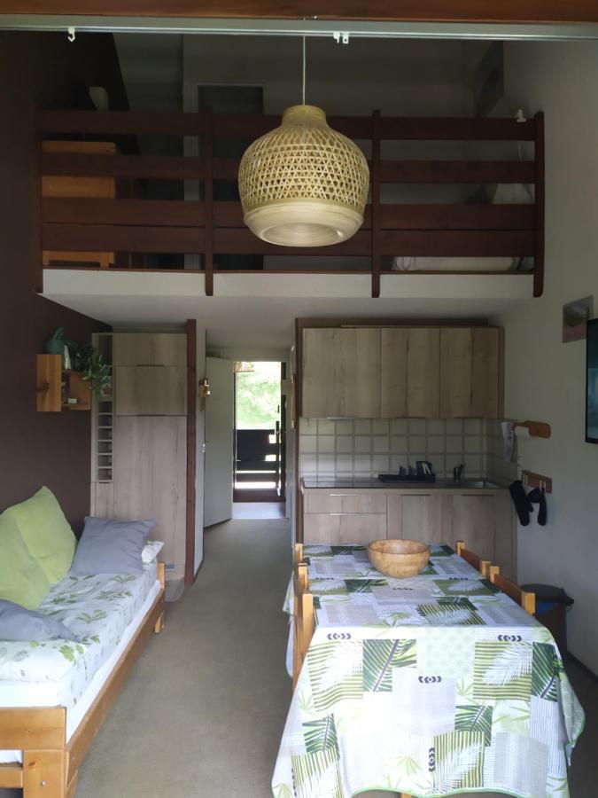 Duplex 3 Pieces. Pieds Des Pistes Et Balcon! Διαμέρισμα Gresse-en-Vercors Εξωτερικό φωτογραφία